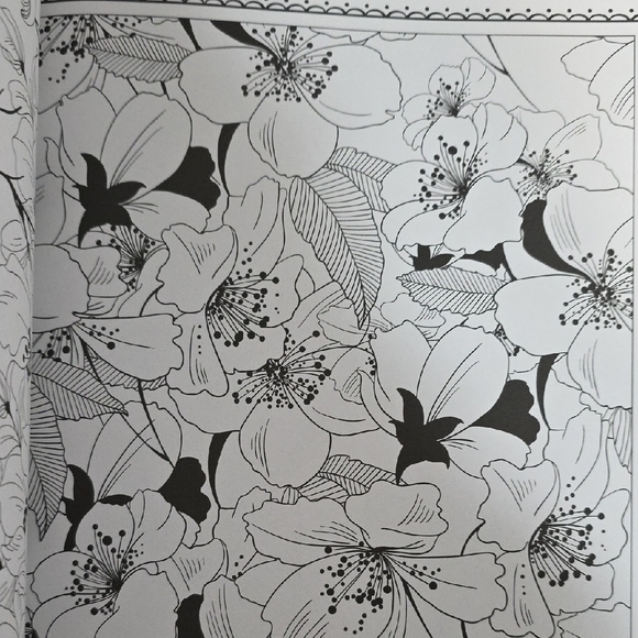 Set of Two Adult Coloring Books - The Menagerie and Magic Garden - Picture 8 of 16